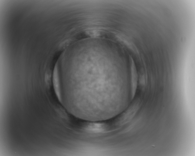 X0000088830332200706211819