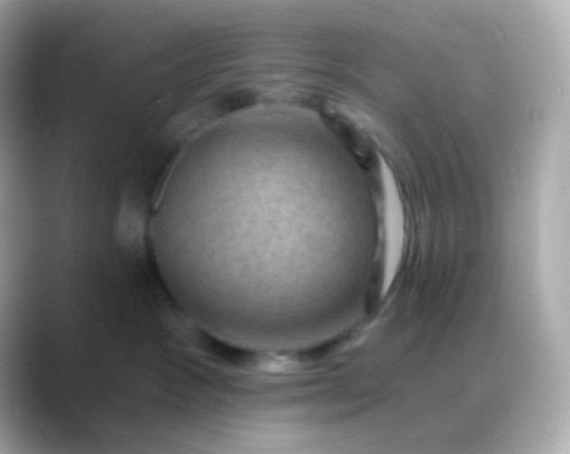 X0000088830333200706211819