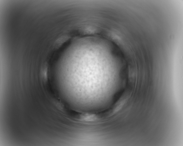 X0000088830334200706211819