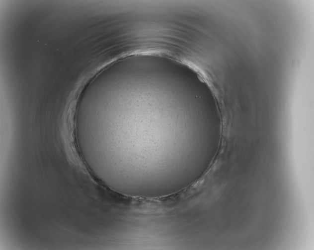 X0000088830337200706211818