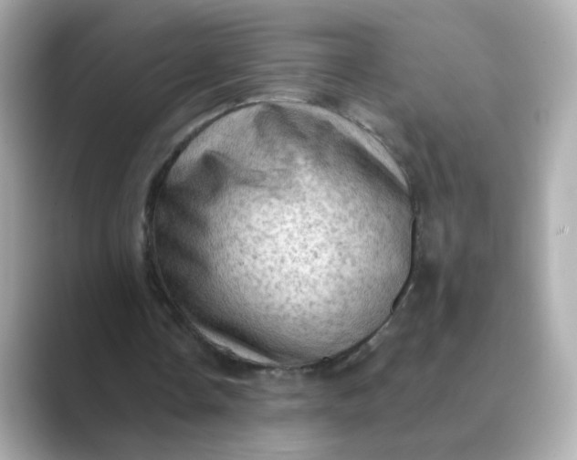 X0000088830338200706211818