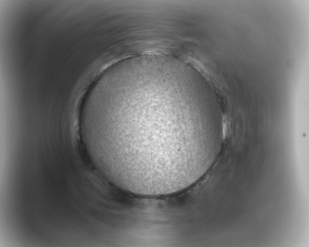 X0000088830339200706211818