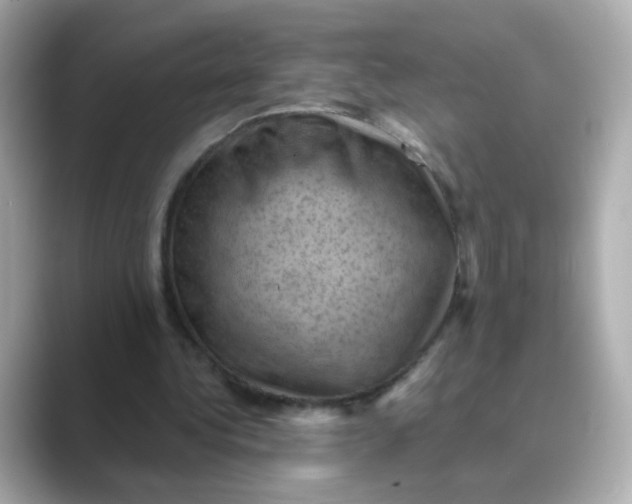 X0000088830340200706211818