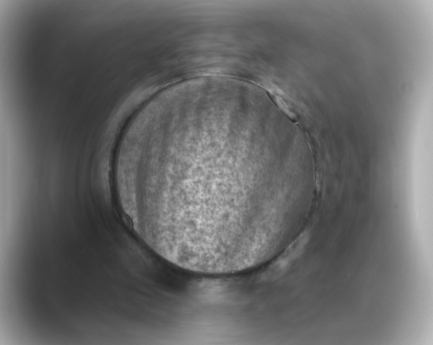 X0000088830341200706211819