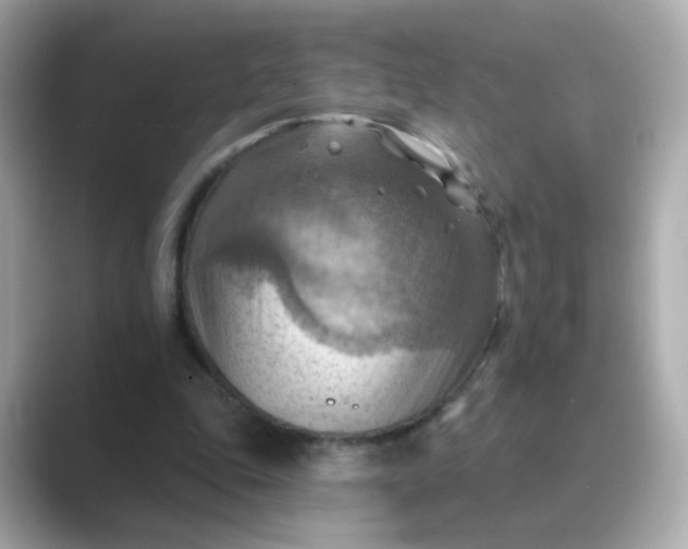 X0000088830343200706211819