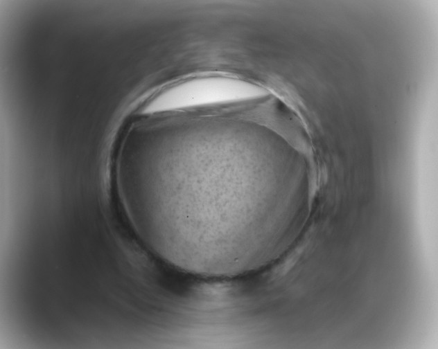 X0000088830344200706211819