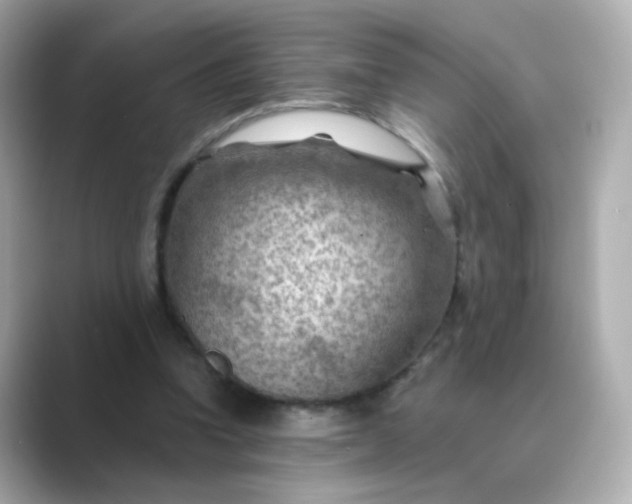 X0000088830346200706211819