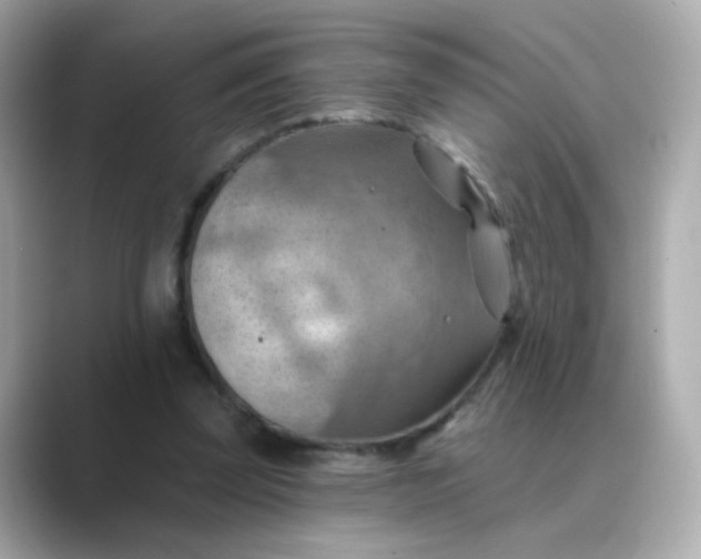 X0000088830347200706211819