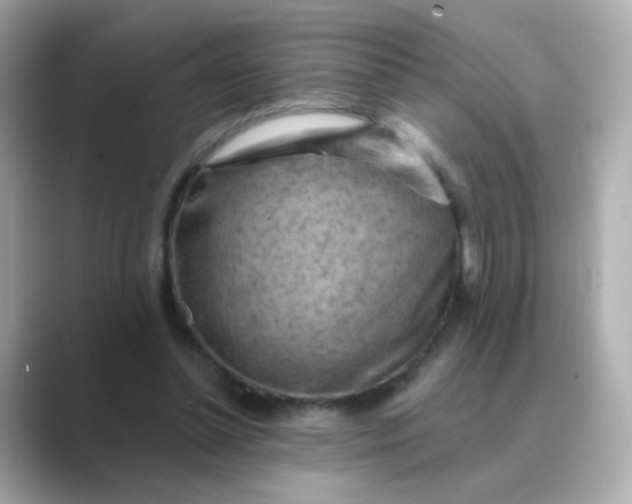 X0000088830348200706211819