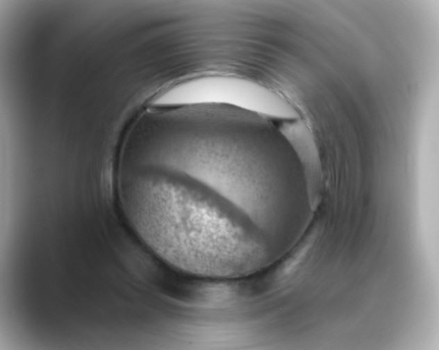 X0000088830349200706211819