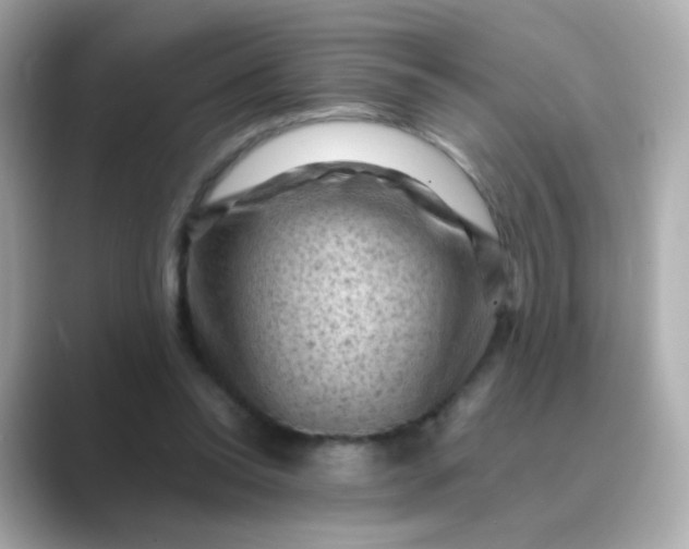 X0000088830350200706211819