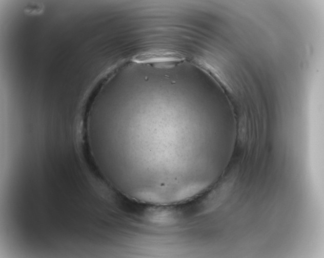 X0000088830351200706211819