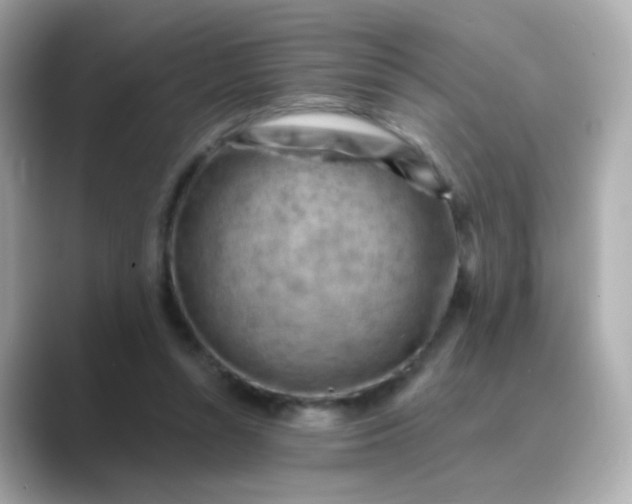 X0000088830352200706211819