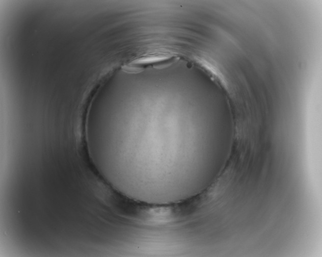 X0000088830353200706211819