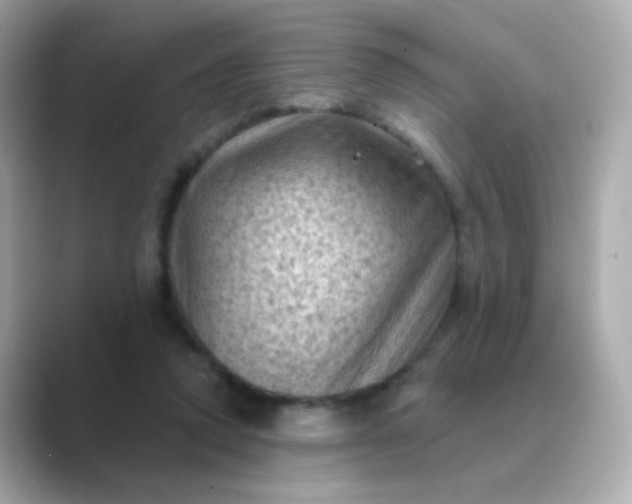 X0000088830354200706211819