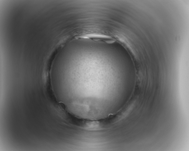 X0000088830355200706211819