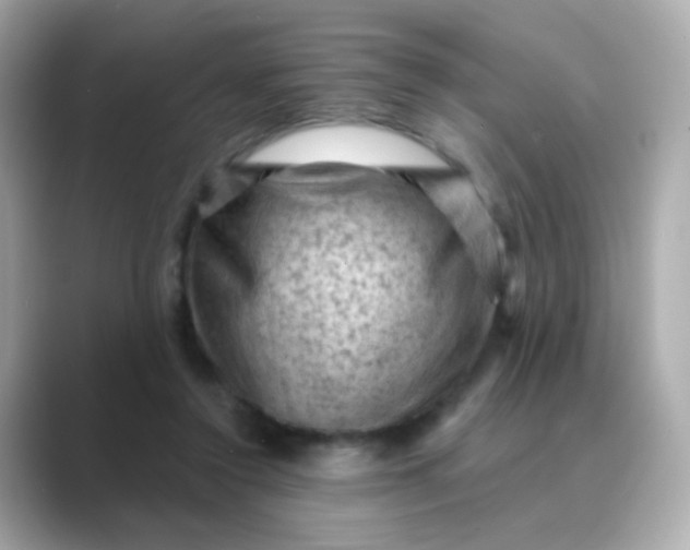 X0000088830356200706211819