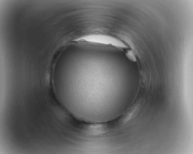 X0000088830357200706211819