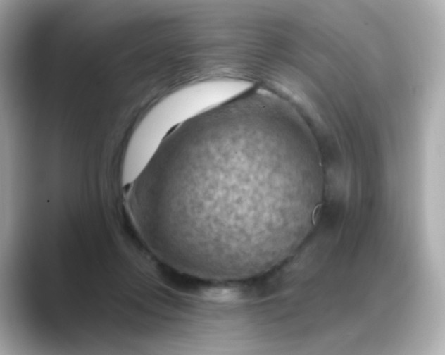 X0000088830358200706211819