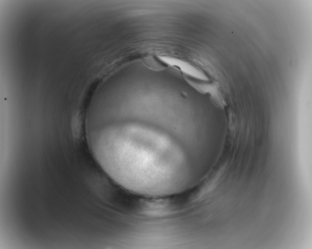 X0000088830359200706211819