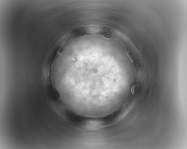 X0000088830360200706211819