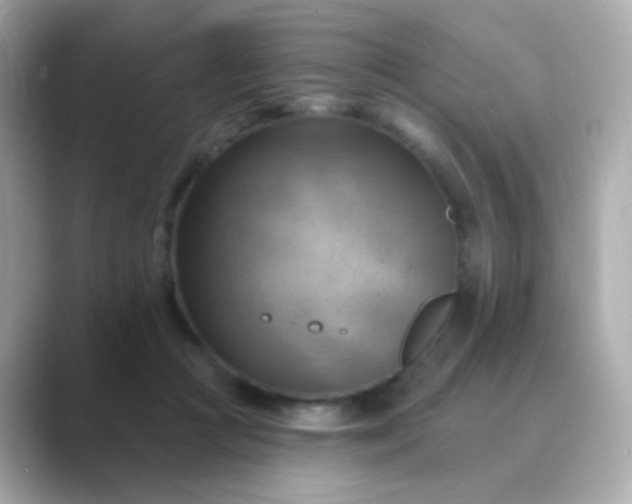 X0000088830361200706211819