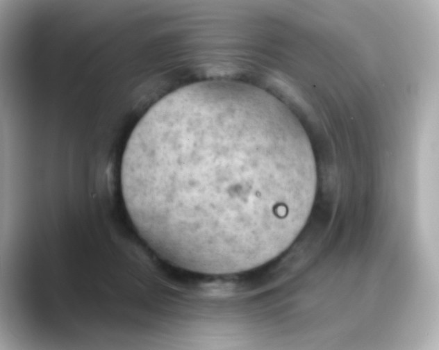 X0000088830362200706211819