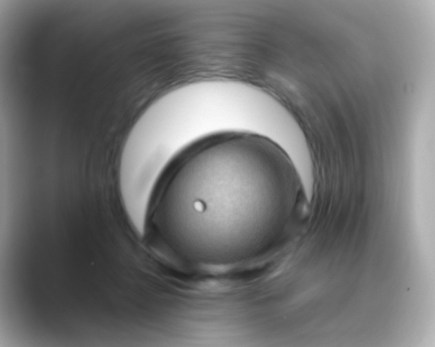 X0000088830364200706211819