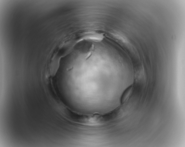 X0000088830365200706211819