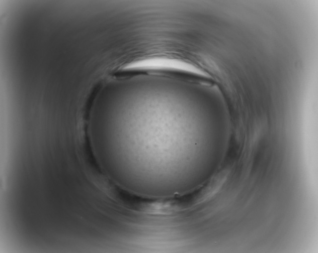 X0000088830366200706211819