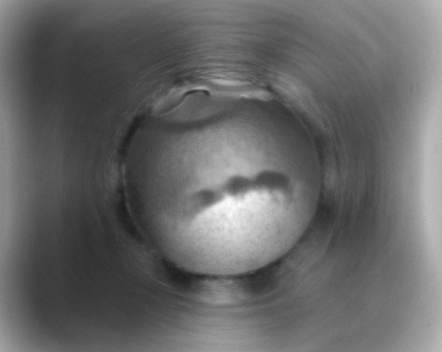 X0000088830367200706211819