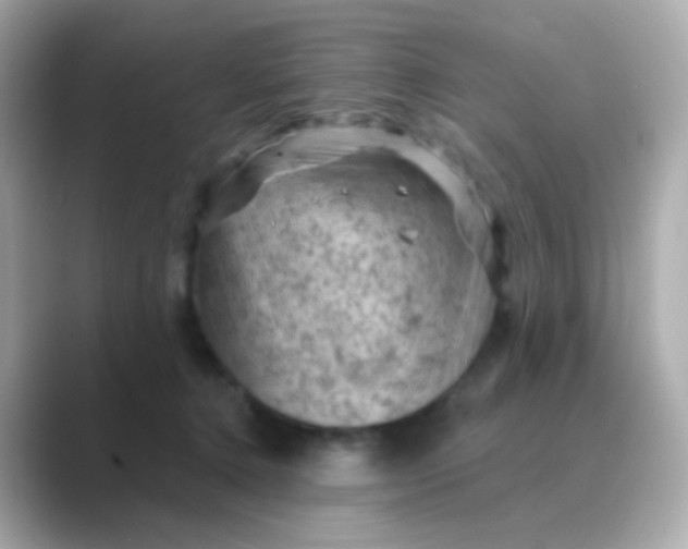 X0000088830368200706211819