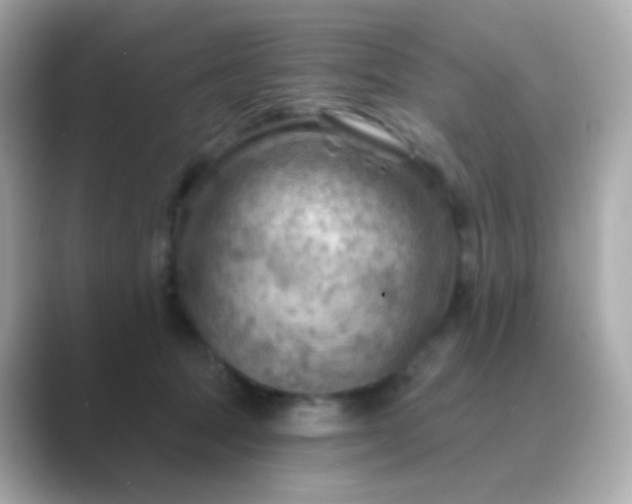 X0000088830369200706211819