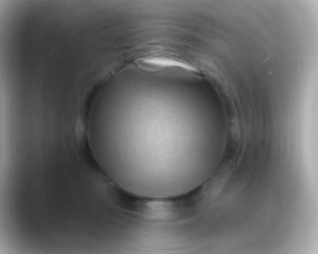 X0000088830371200706211819