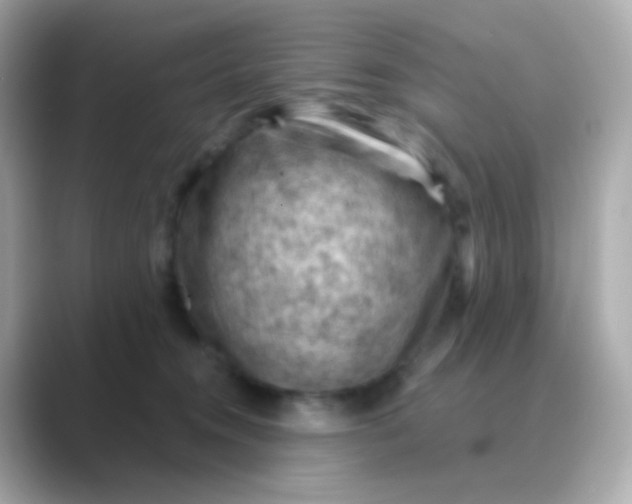 X0000088830372200706211819