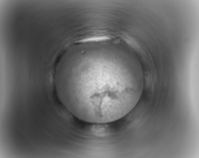 X0000088830373200706211819