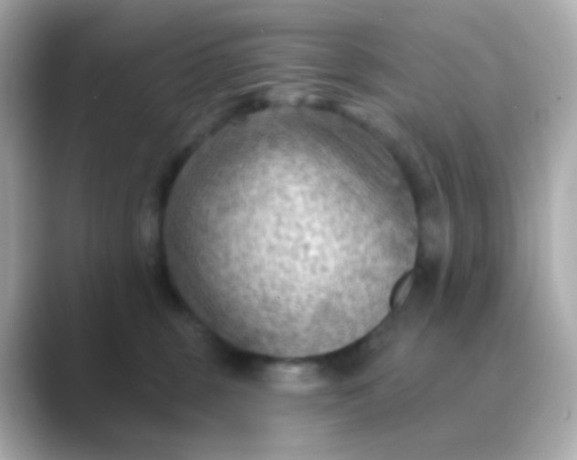 X0000088830375200706211819