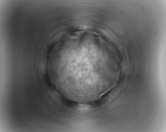 X0000088830376200706211819