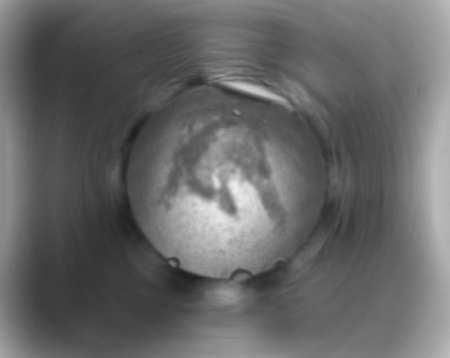 X0000088830377200706211819