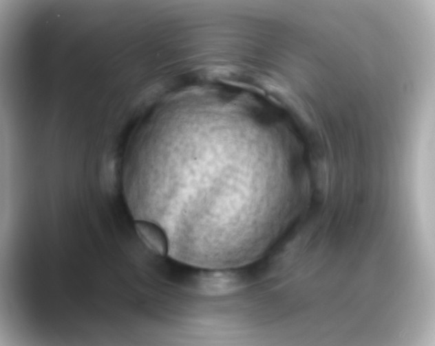 X0000088830378200706211819