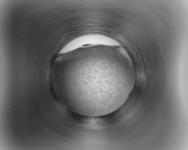 X0000088830379200706211819