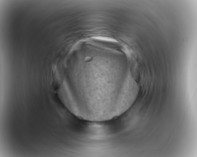 X0000088830380200706211819