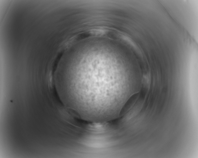 X0000088830381200706211819