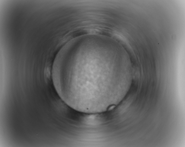 X0000088830382200706211819