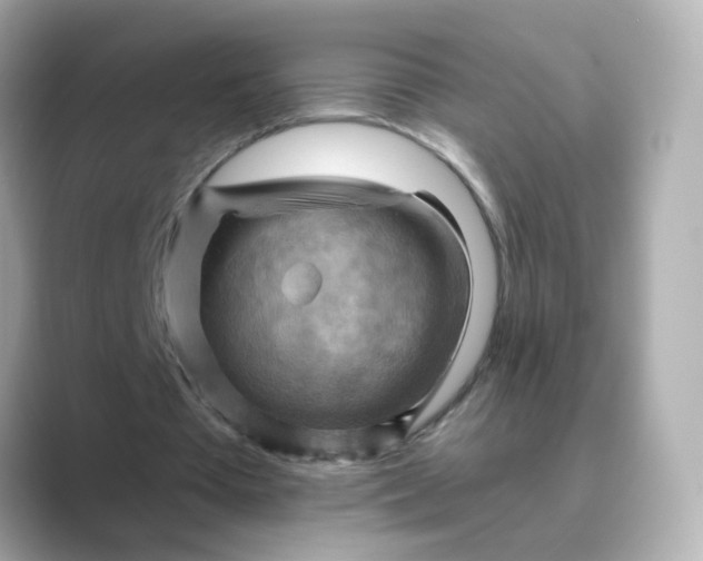 X0000088830385200706211818