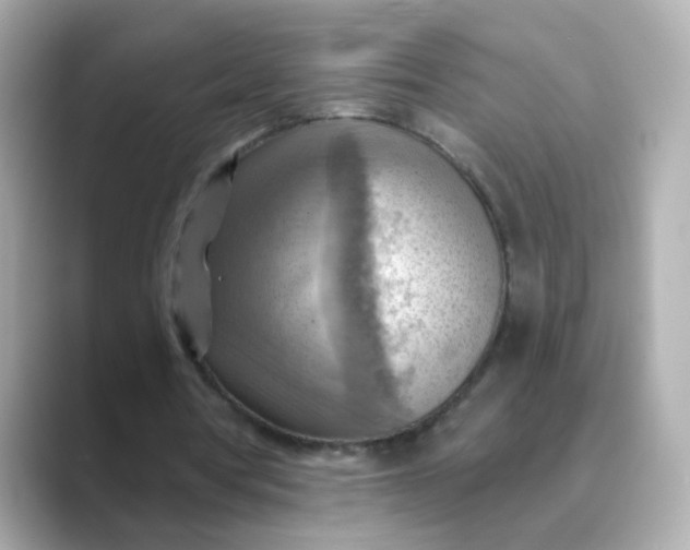 X0000088830386200706211818