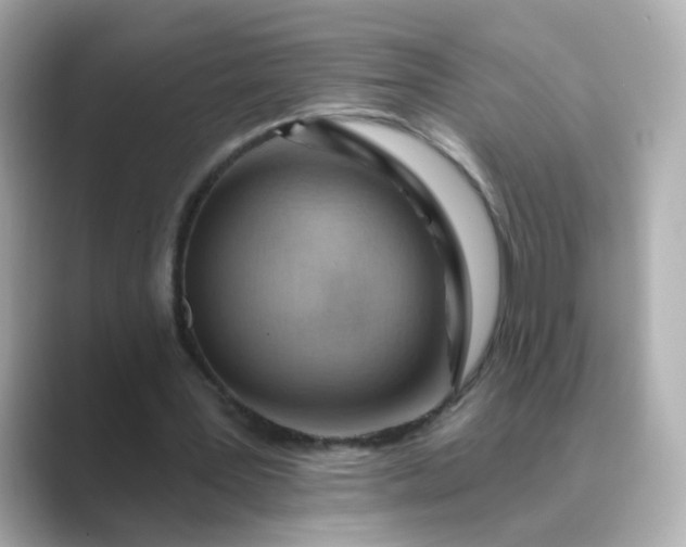 X0000088830387200706211818