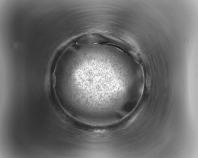 X0000088830388200706211818