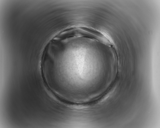 X0000088830389200706211818