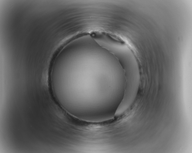 X0000088830391200706211818